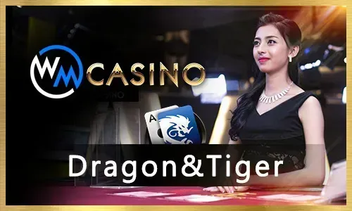 Daily Free Spins
